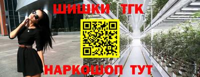 a pvp Братск