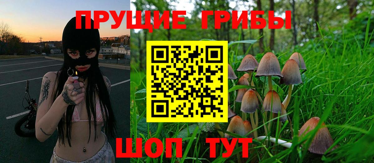 Псилоцибиновые грибы мухоморы Аргун